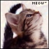 Benutzeravatar
